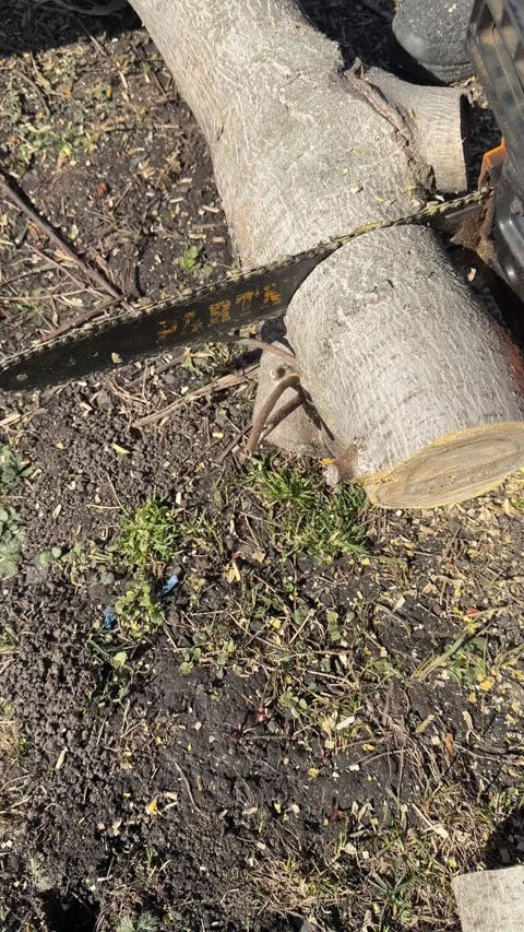 A person using a chainsaw to cut wooden logs on the ground. Stock Footage 332607856