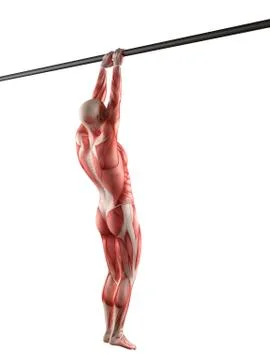 Person using chin up bar Stock Illustration