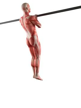 Person using chin up bar Stock Illustration