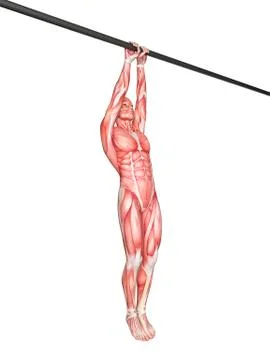 Person using chin up bar Stock Illustration