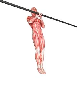 Person using chin up bar Stock Illustration