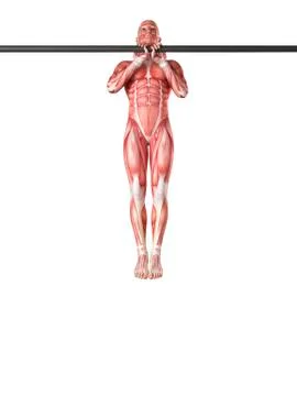 Person using chin up bar Stock Illustration