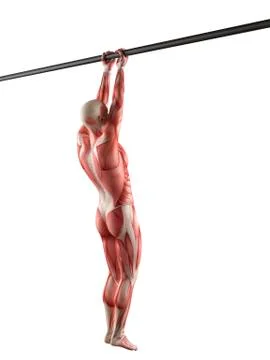 Person using chin up bar Stock Illustration
