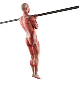 Person using chin up bar Stock Illustration