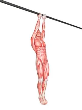 Person using chin up bar Stock Illustration