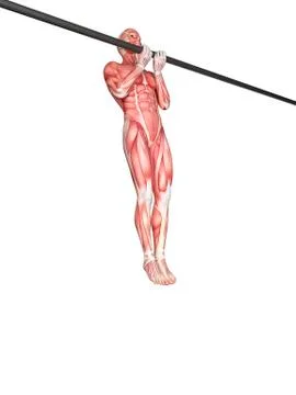 Person using chin up bar Stock Illustration