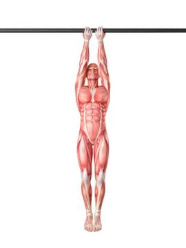 Person using chin up bar Stock Illustration