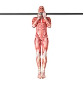 Person using chin up bar Stock Illustration