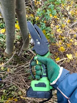 A person using a cordless hedge trimmer to trim a tree Stock Photos
