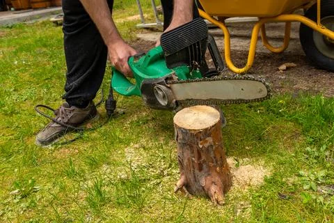 Person Using Electric Chainsaw to Cut Tree Stump in Garden Stock Photos