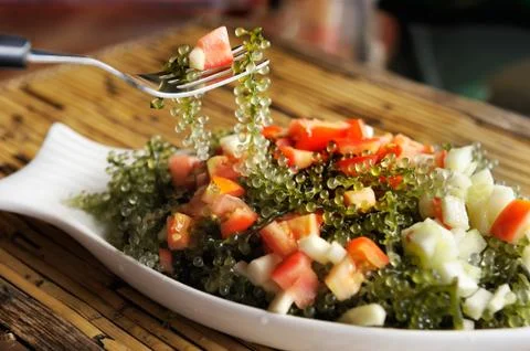 Person using fork to eat delicious Japanese salad with sea grapes of seaweed, Stock Photos