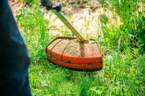 Person using a gas powered string trimmer to cut overgrown green grass and weeds 库存照片