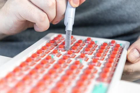 Person using gray brush tool to clean red mechanical switches on a custom m.. Stock Photos