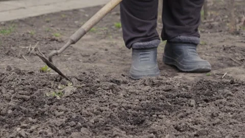 Person using a hand hoe to till dry garden soil, demonstrating manual culti.. Stock-Footage 339851129