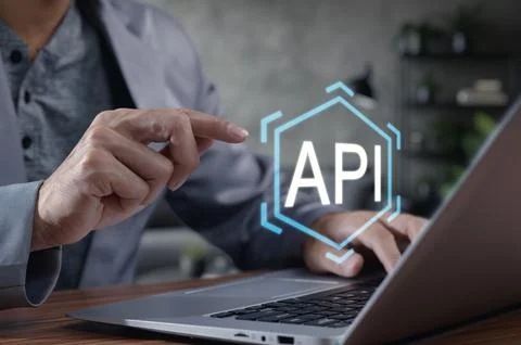 Person Using Laptop with API Interface for Software Development Foto stock