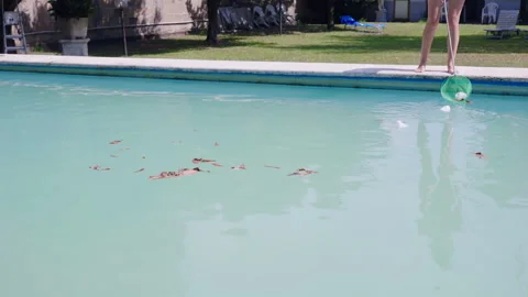 Person using skimmer net for removing garbage from the pool water surface Video stock 296965419