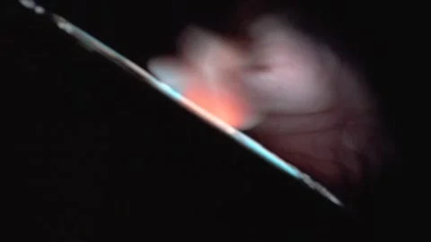 Person Using Smartphone Screen in Dark Night Close Up Stock Footage 342509214