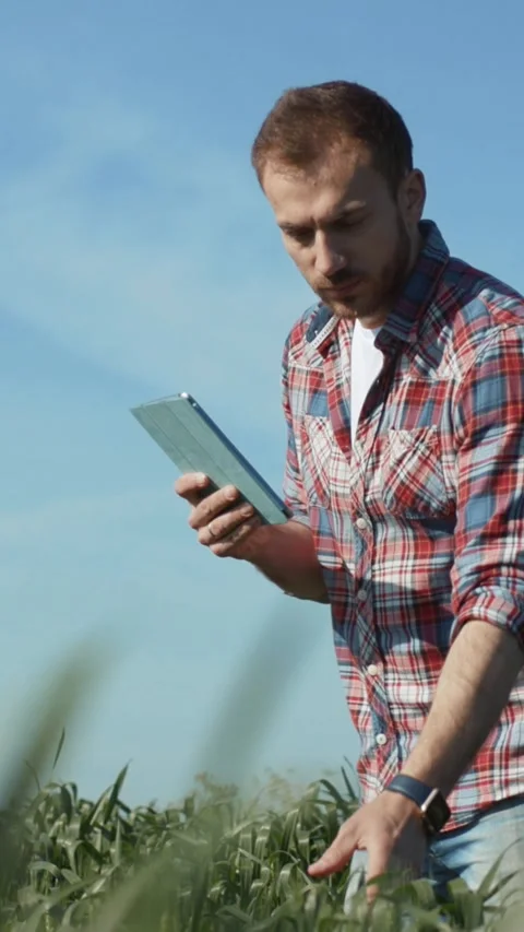 A person is using a tablet while sitting in a lush green field beneath a clear Stock Footage 306614630