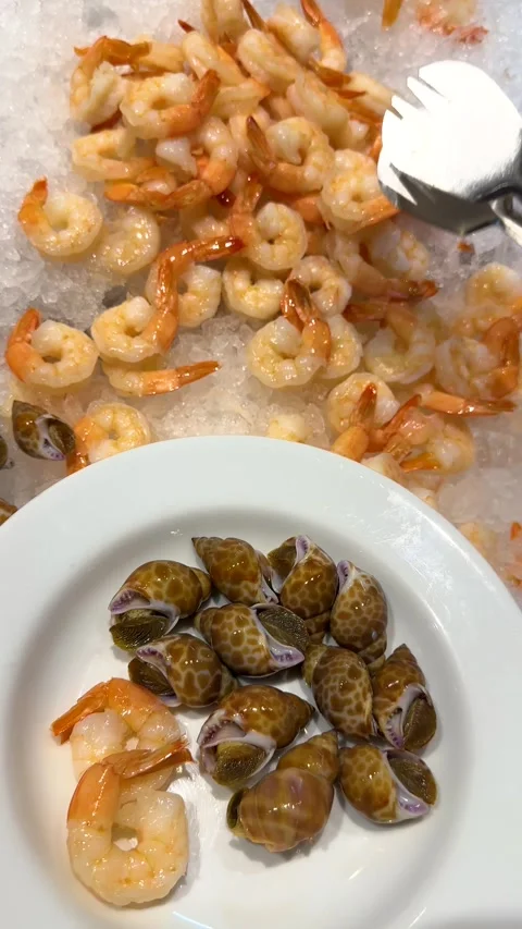 Person Using Tongs to Pick Up Fresh Shrimp at a Seafood Buffet Stock Footage 335852882