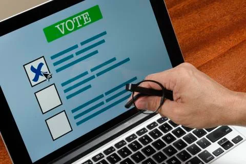 Person voting on the computer Foto stock