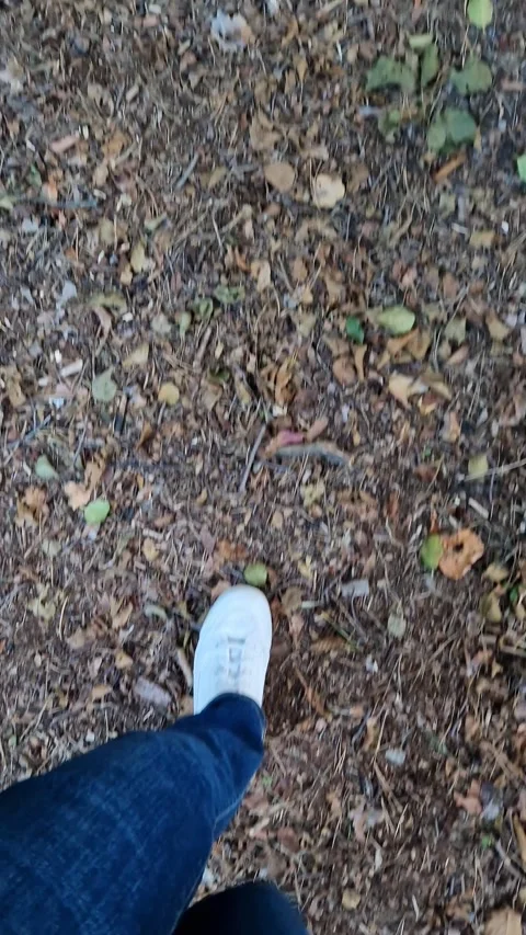 A person walking along a path among dry leaves and green grass 스톡 동영상 344300735
