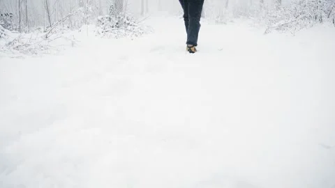 Person walking away from the camera through deep snow in the forest Stock Footage 254394054