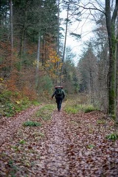 Person Walking Away on a Forest Path with Backpack Stock Photos