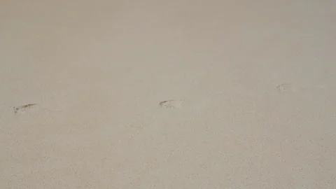 Person walking barefoot on sandy beach with shadow cast Stock Footage 346366445