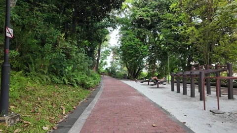 A person is walking on a brick path in a park Видео 318088987
