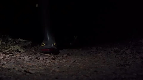 Person Walking On The Dark Muddy Ground Wearing Frog Boots. Close-up Shot Stock Footage 337898459