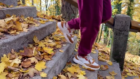 Person Walking Down Autumn Stairs Covered With Fallen Leaves Stock Footage 320831786