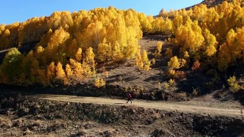 A person is walking down a dirt road in the woods in autumn season Stock Footage 331355652