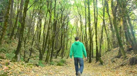 Person Walking Down Forest Path Stock Footage 12144968