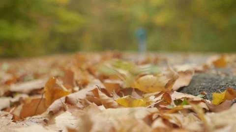 Person walking down nature trail Stock Footage 34452103