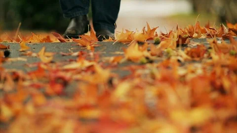Person walking on a footpath covered with fallen leaves. Stockbeeldmateriaal 88406805