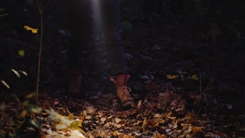 Person walking in forest at night with flashlight illuminating leaves and b.. Stock Footage 334843732