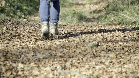 Person walking up a forest path covered with fallen leaves Stock Footage 146467278
