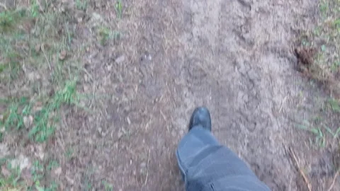 Person walking on the grass Stock Footage 158036999