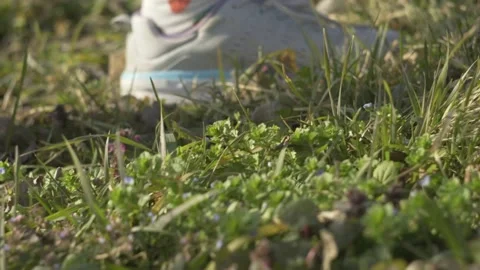 Person Walking on Grass 스톡 동영상 233127541