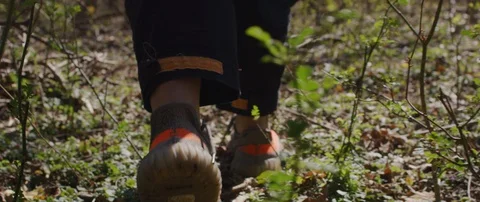 Person Walking in Nature Stock Footage 129477359