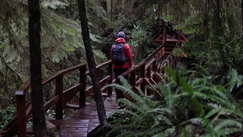 Person Walking Over A Bridge In A Forest Video stock 167387151