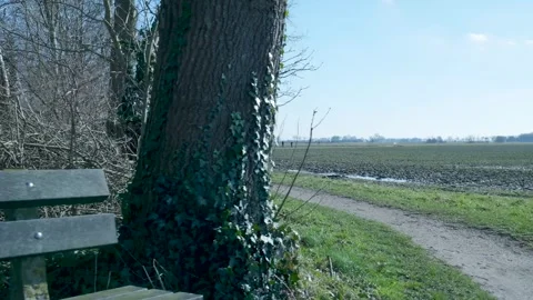 Person walking on a path in the countryside Stockbeeldmateriaal 331188766