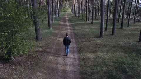 A person walking on a path in the middle of a forest 動画素材 129451217