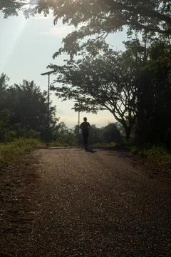 Person Walking on a Path Surrounded by Trees Stock Photos