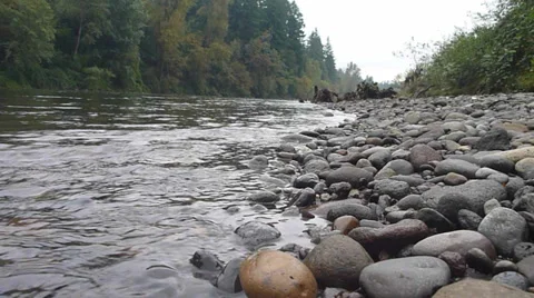 Person Walking on River Rocks Stock Footage 31242115