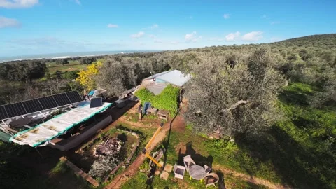 Person Walking in Rustic Olive Grove, Solar Panels, Aerial View Stock Footage 337689783
