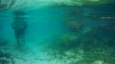 Person Walking On Sandy Spring Bottom (Underwater View, No Face) Stock Footage 90105097