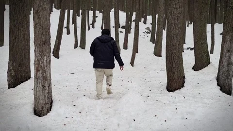 Person walking in the snow Stock Footage 280637929