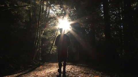 Person Walking Up Sunny Fall Forest Road Stock Footage 81792249