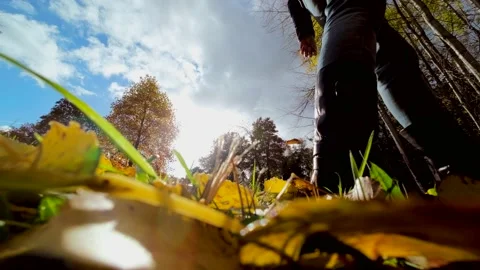 Person walking through autumn fall leaves Stock Footage 220299733